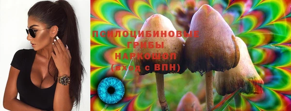 мяу мяу мука Нефтегорск