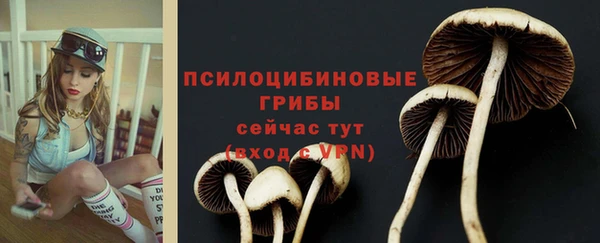 марки lsd Дмитриев