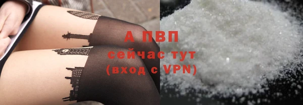 PSILOCYBIN Нефтекумск