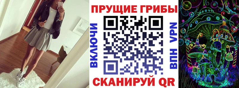 закладка  Петров Вал  Галлюциногенные грибы Psilocybine cubensis 