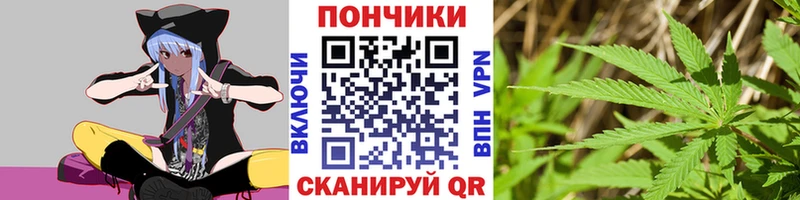 Бошки марихуана OG Kush наркошоп Петров Вал